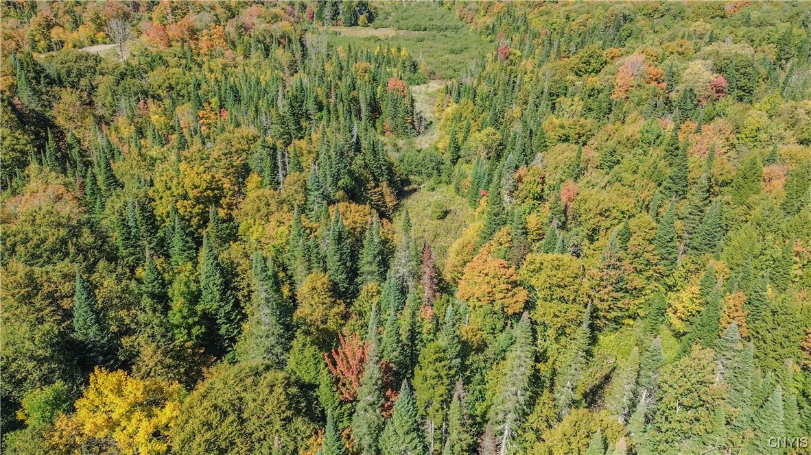 7087 Liberty Road Montague, NY 13626 - Photo 10 of 36