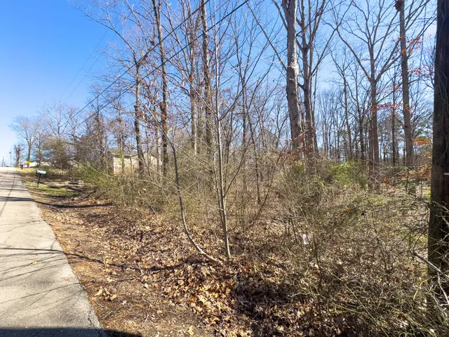 a view of a yard with trees