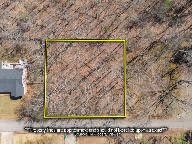 a view of painting on the wall