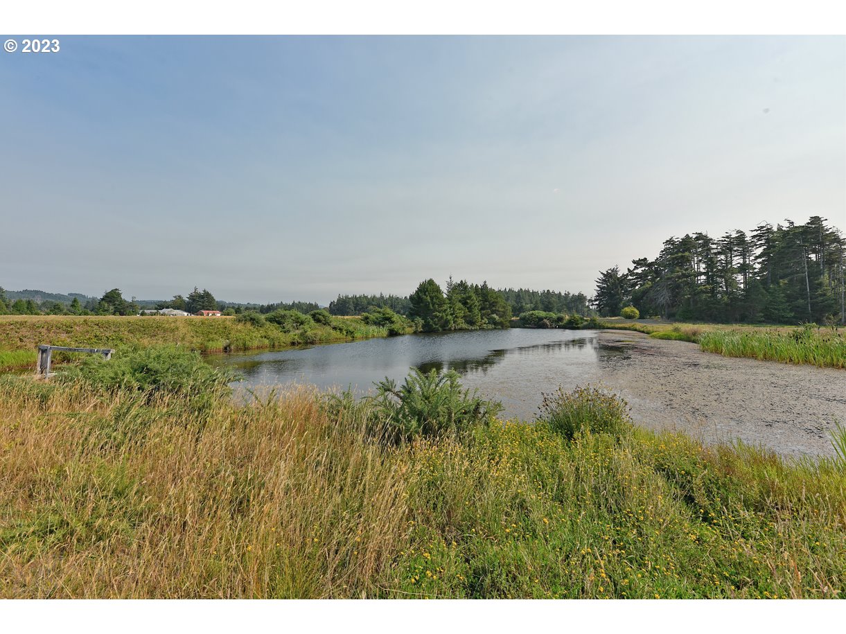87641 East Beach Loop Lane Bandon, OR 97411 - Photo 12 of 16