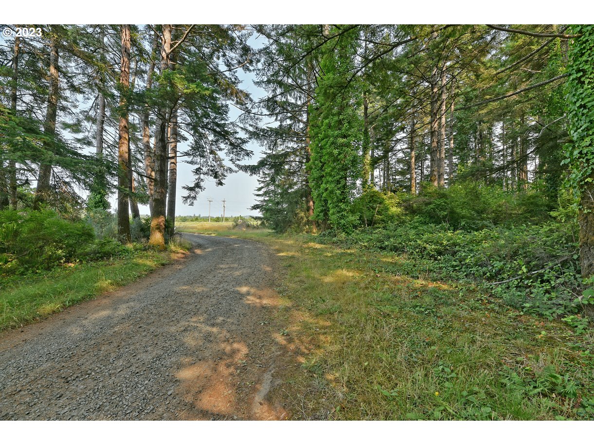 87641 East Beach Loop Lane Bandon, OR 97411 - Photo 15 of 16