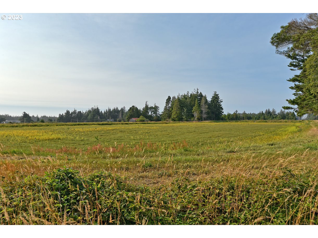 87641 East Beach Loop Lane Bandon, OR 97411 - Photo 16 of 16