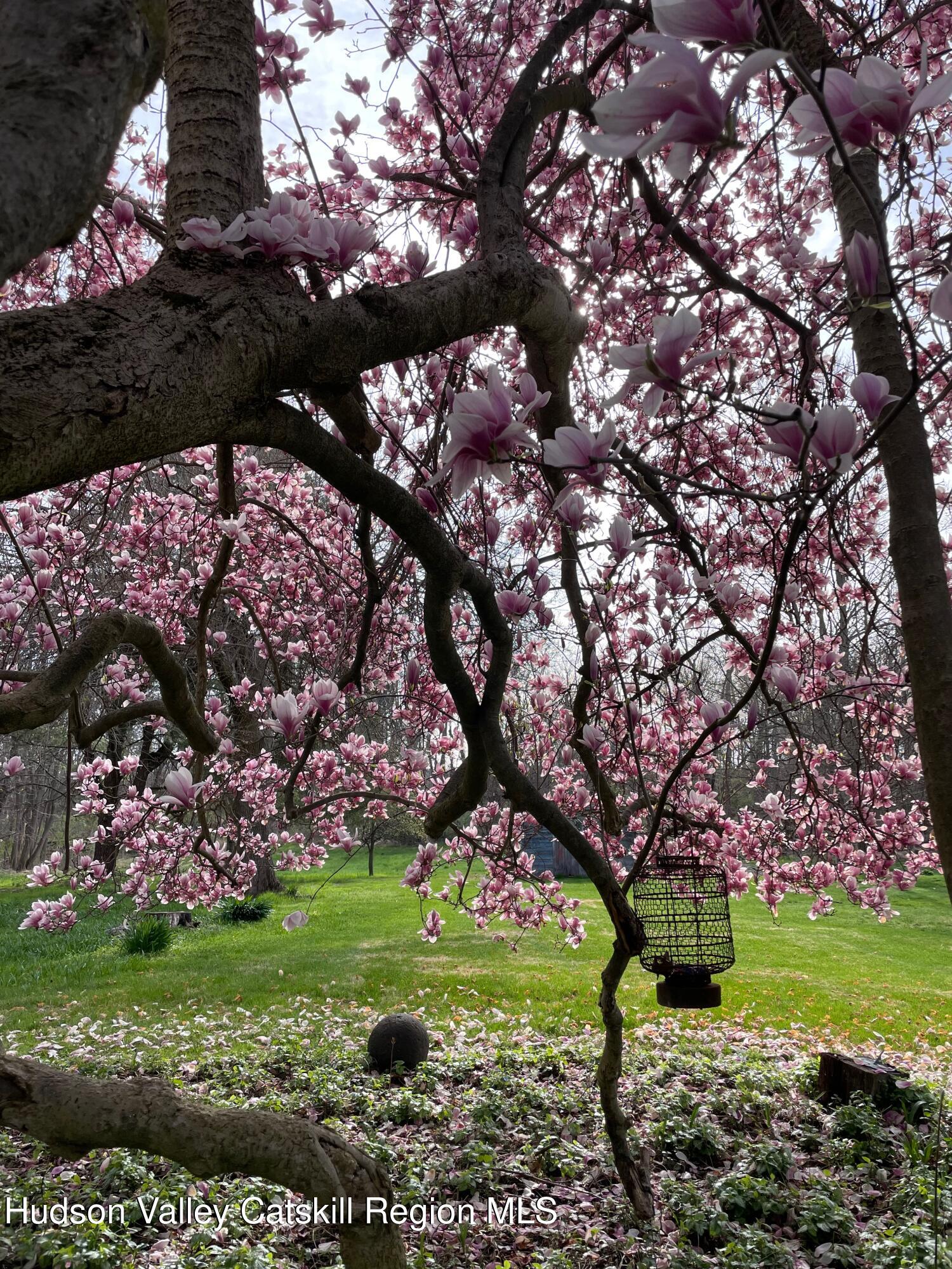 416 Hapeman Hill Road Red Hook, NY 12571 - Photo 9 of 63 IMG_5291