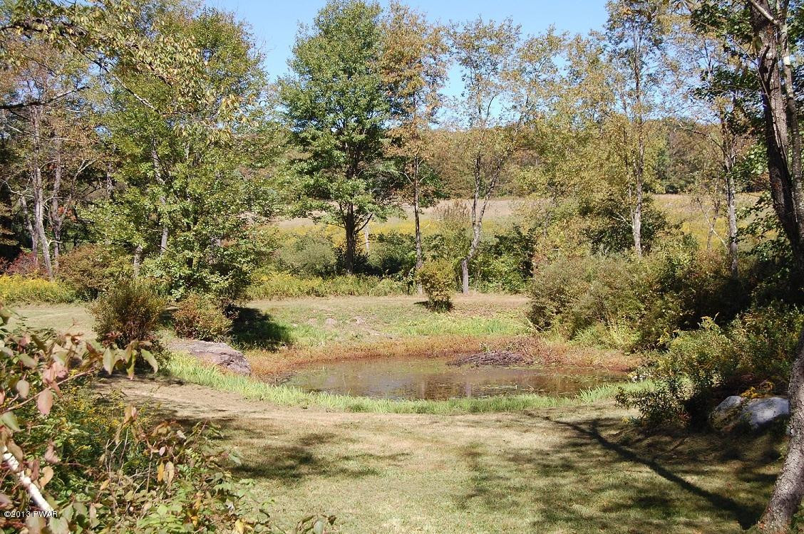 Case Rd Beach Lake Beach Lake, PA 18405 - Photo 4 of 12