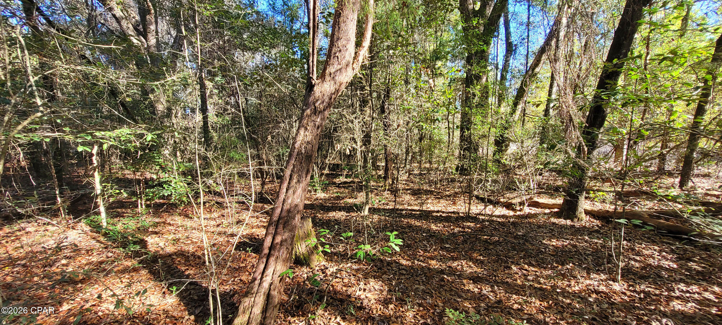 Lot 2 Oscar Road Greenwood, FL 32443 - Photo 18 of 19