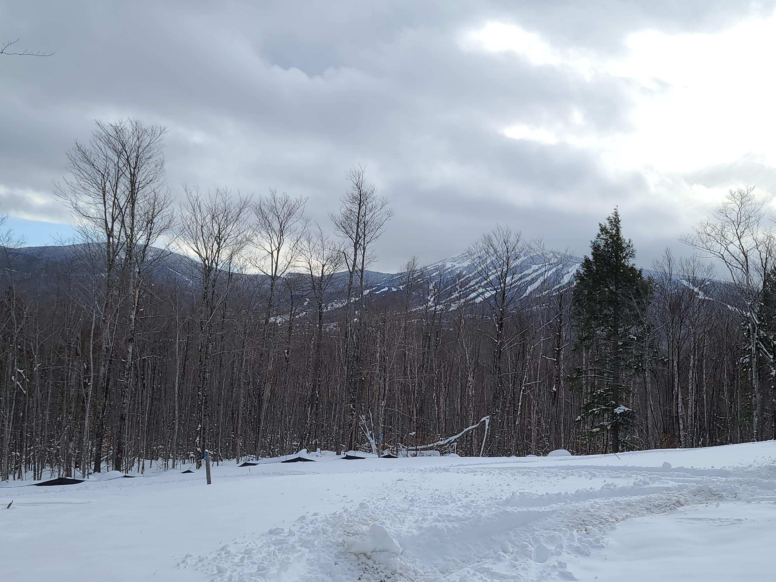 4002 White Road Kingfield, ME 04947 - Photo 4 of 10 3