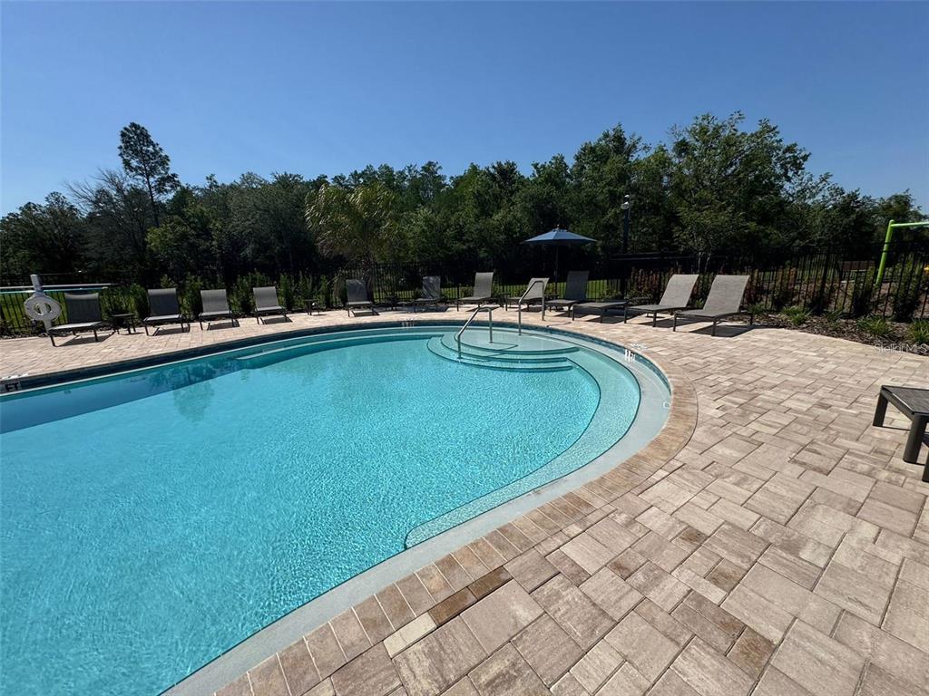 3133 Skyline Loop Kissimmee, FL 34758 - Photo 41 of 44
