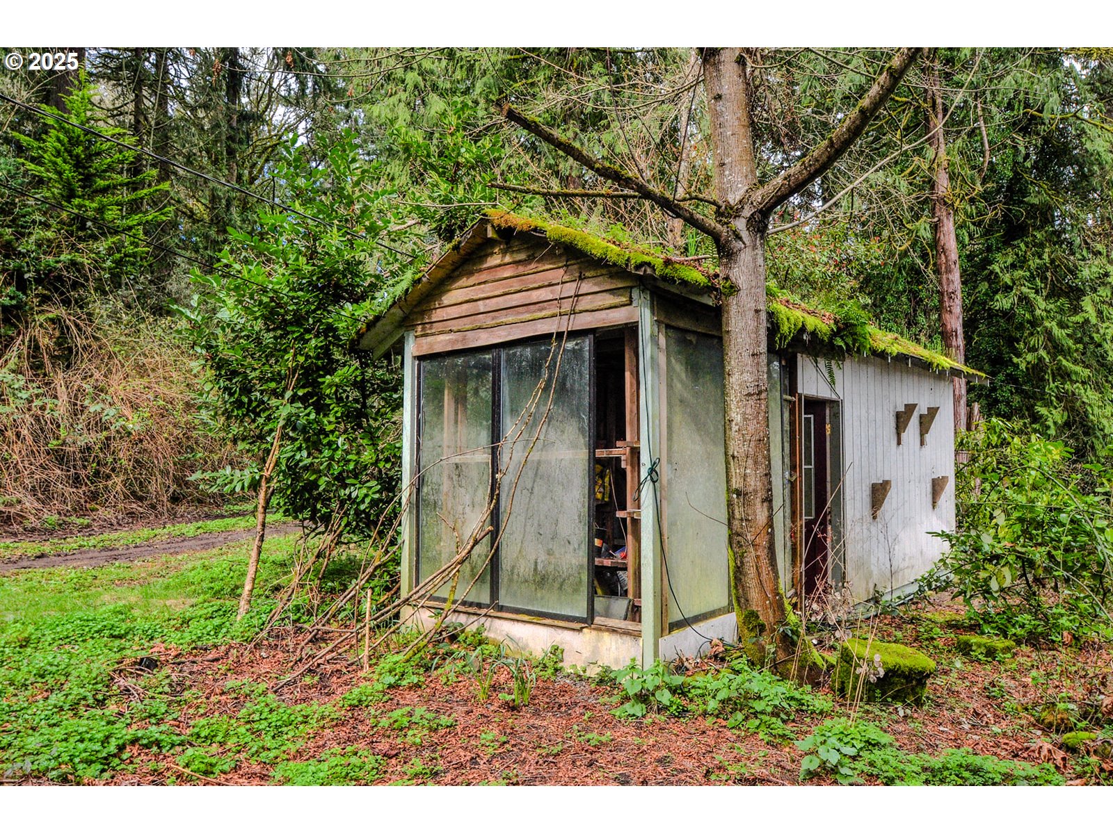 74430 Laurel Wood Road Rainier, OR 97048 - Photo 28 of 28 Gallery Image 28