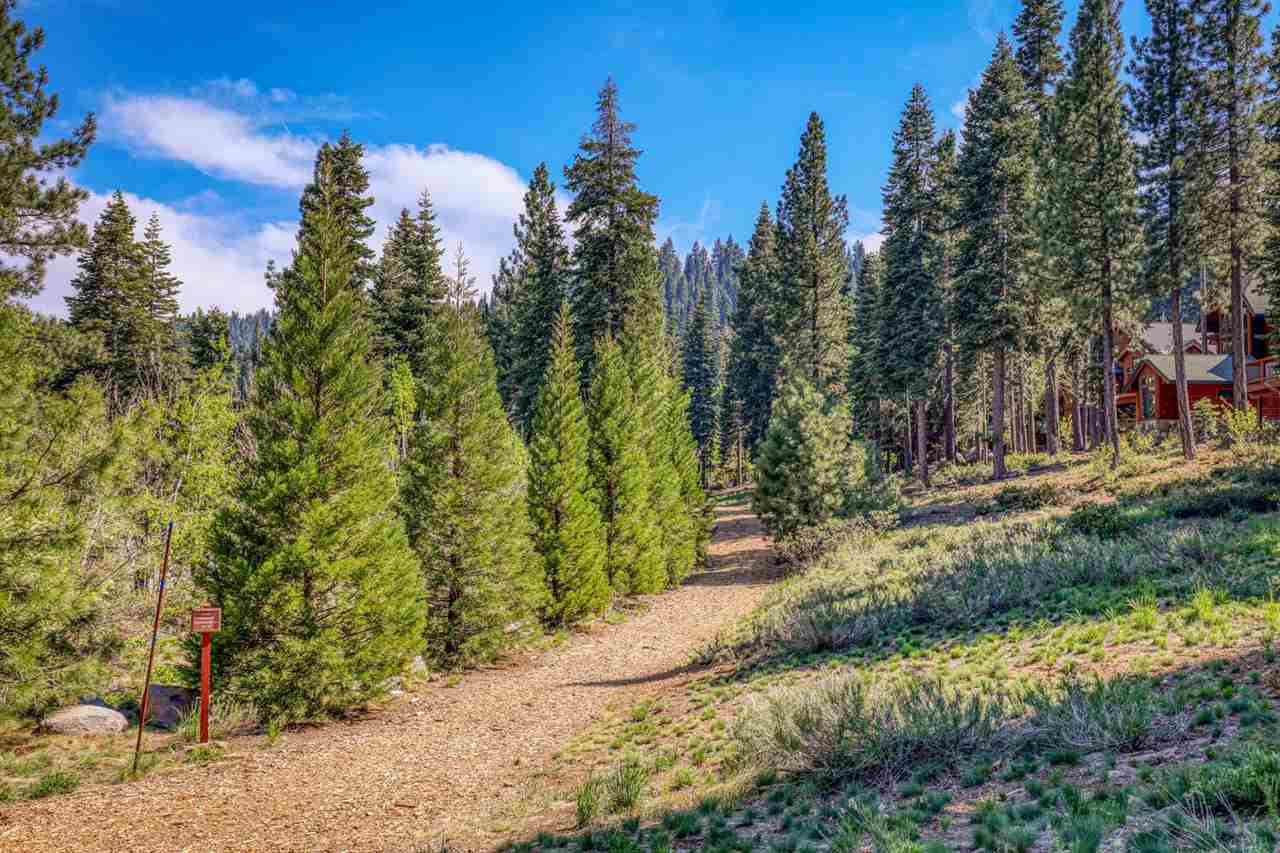 1755 Grouse Ridge Road Truckee, CA 96161 - Photo 19 of 20 a view of backyard with green space