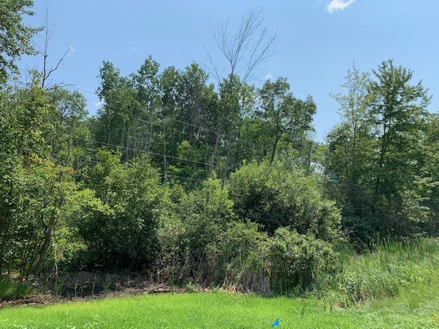 0 South Huron Road Au Gres, MI 48703 - Photo 2 of 5