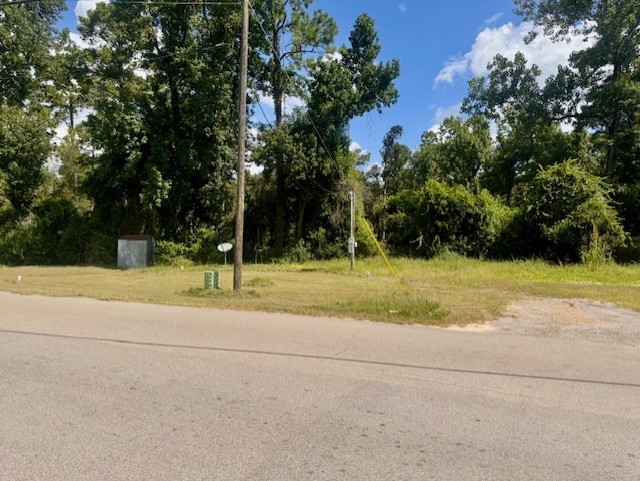 17023 Main Street Splendora, TX 77372 - Photo 8 of 9 a view of a yard