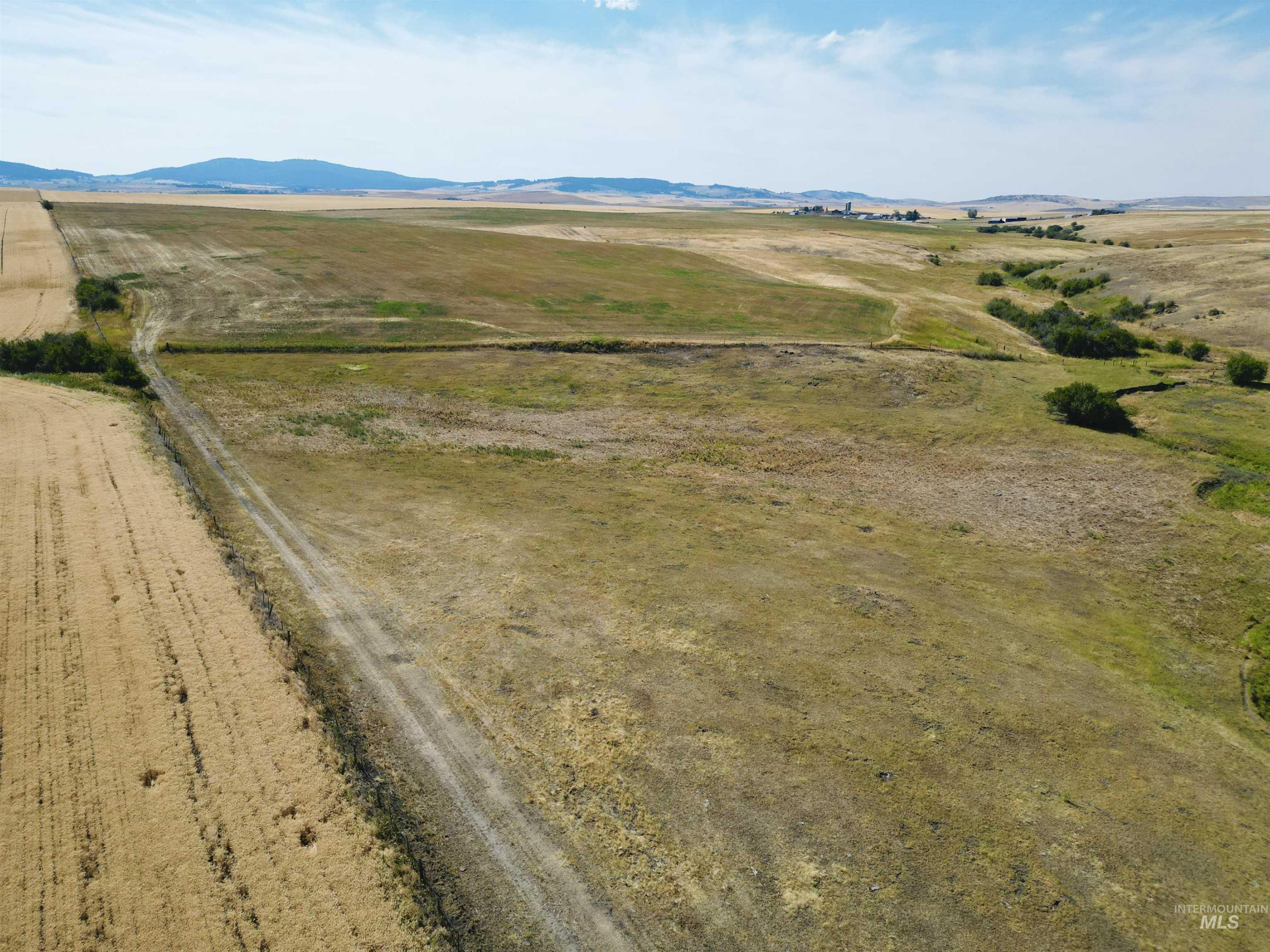 Tbd Wasem Road Grangeville, ID 83530 - Photo 1 of 12 Overview of rural landscape featuring a mountainous background