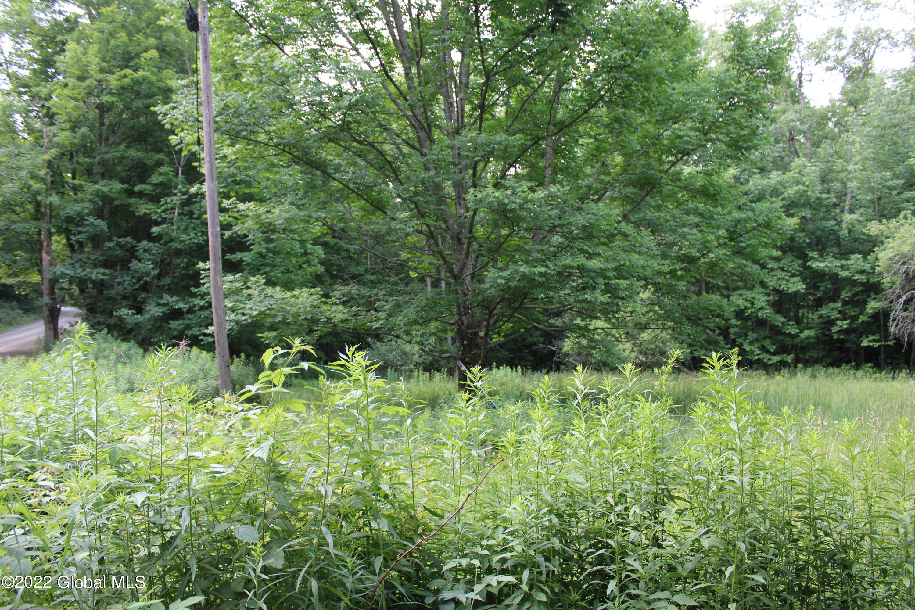 1006 West Hill Road Worcester, NY 12197 - Photo 1 of 6 VIEW FROM STREET