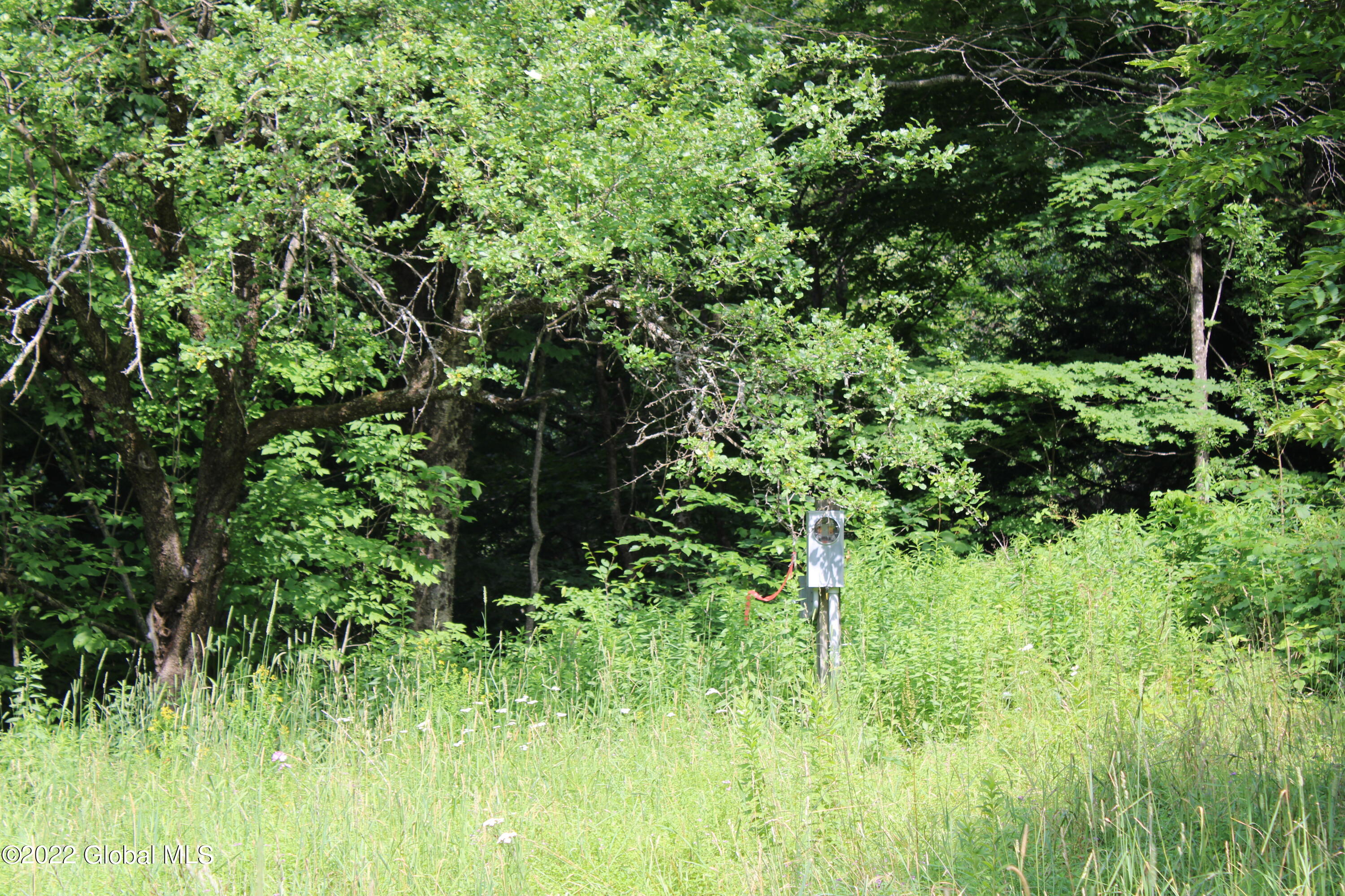 1006 West Hill Road Worcester, NY 12197 - Photo 3 of 6 IMG_0919