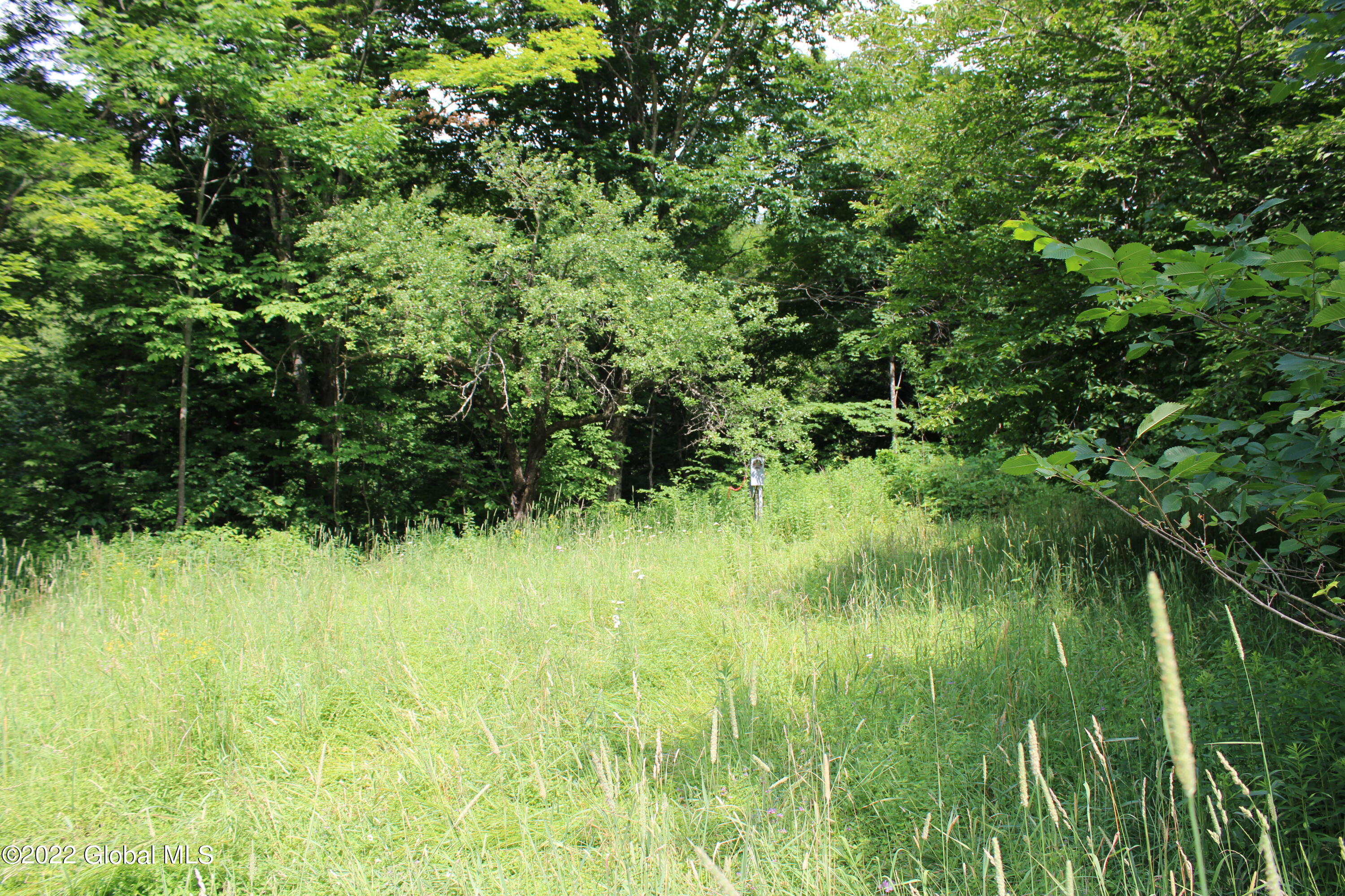 1006 West Hill Road Worcester, NY 12197 - Photo 4 of 6 IMG_0920
