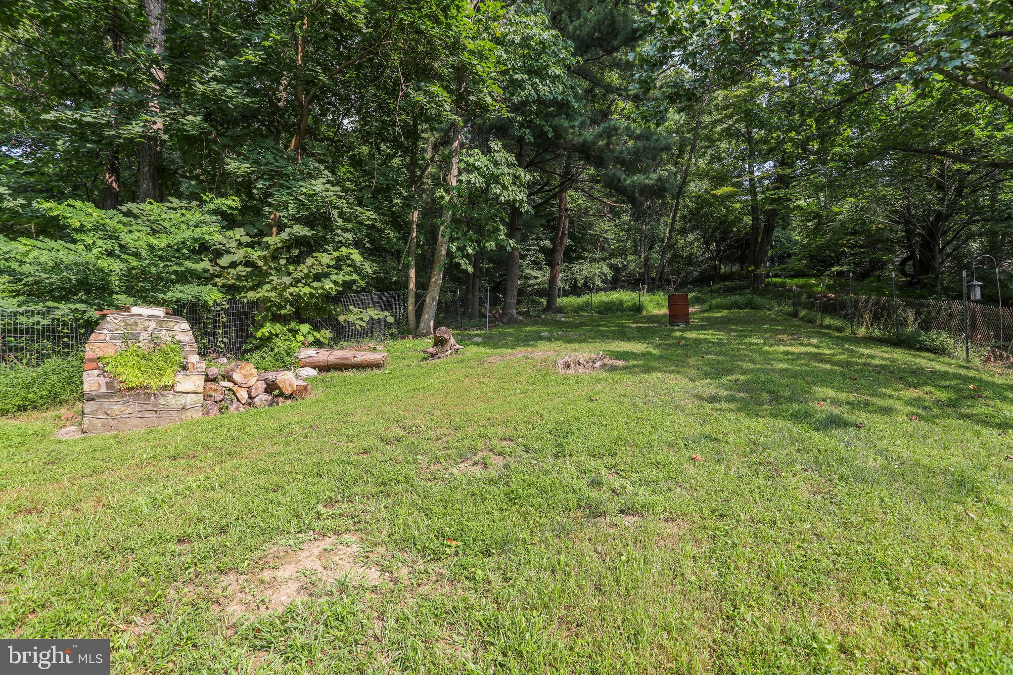 14121 Ritchie Road Cascade, MD 21719 - Photo 35 of 56 Rear Yard