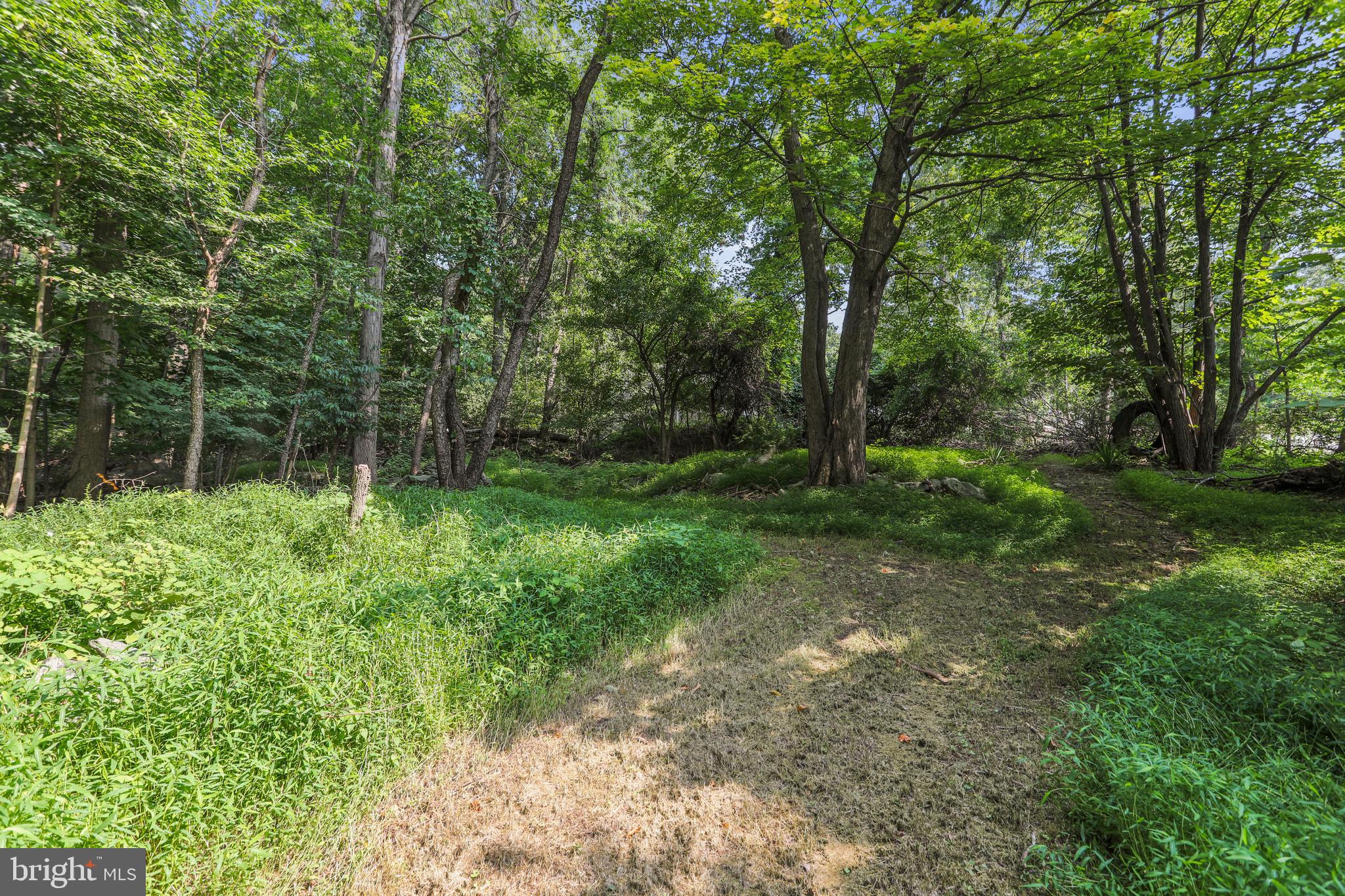 14121 Ritchie Road Cascade, MD 21719 - Photo 38 of 56