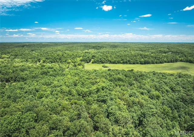 $1,095,000 | 64 New Home Road, Salem, MO 65560