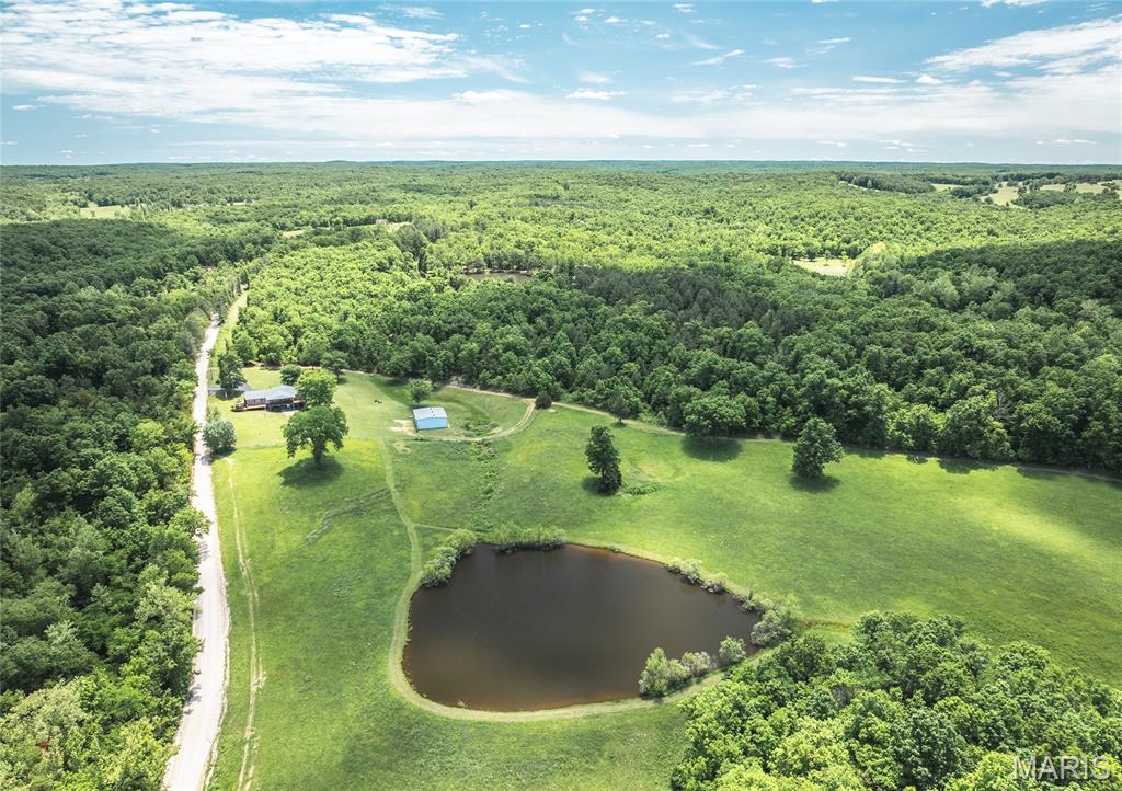 64 New Home Road Salem, MO 65560 - Photo 11 of 86