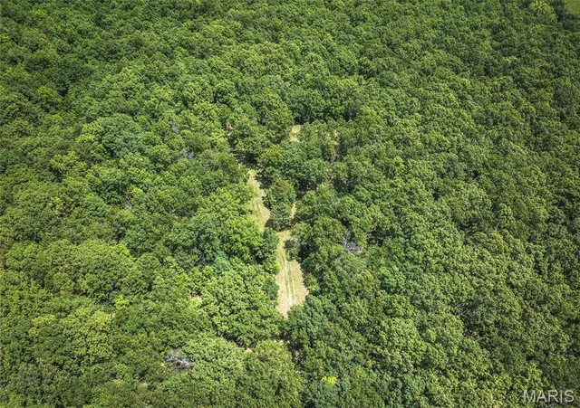 $1,095,000 | 64 New Home Road, Salem, MO 65560