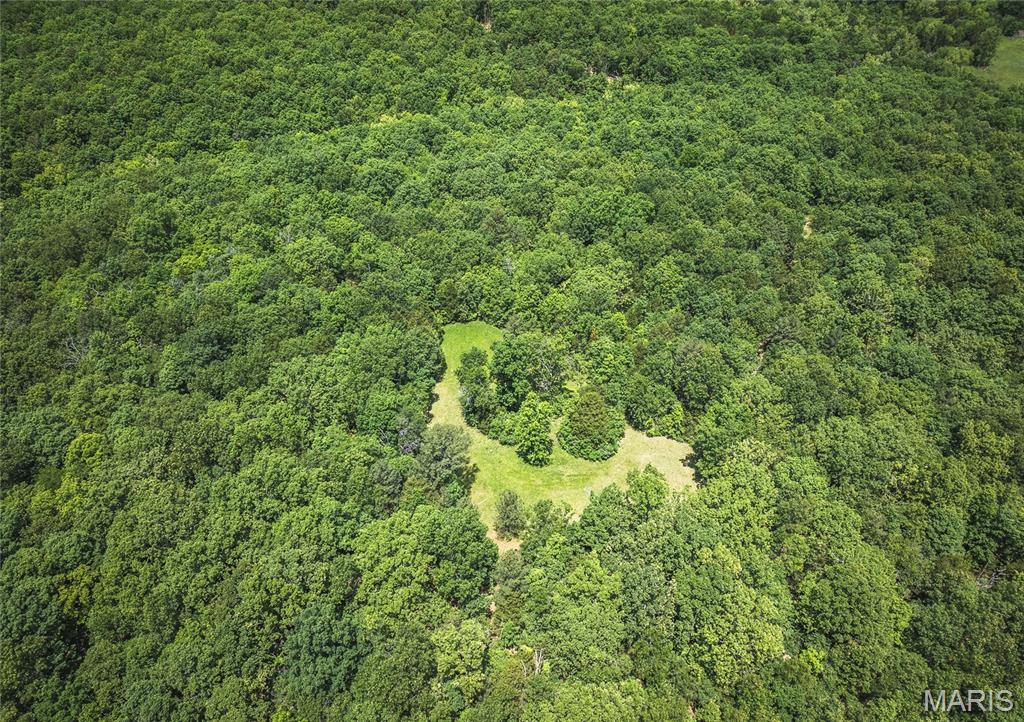 64 New Home Road Salem, MO 65560 - Photo 46 of 86