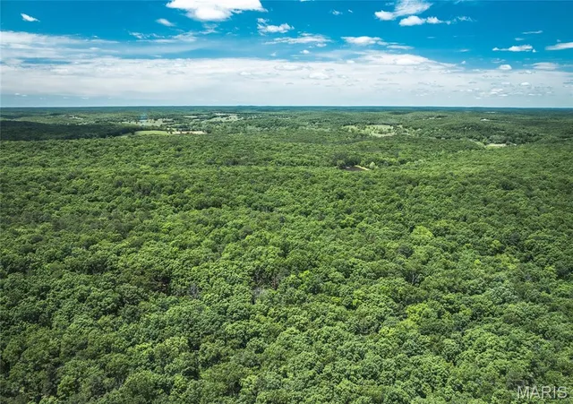 $1,095,000 | 64 New Home Road, Salem, MO 65560