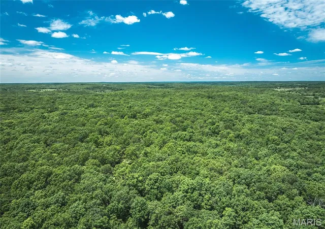 $1,095,000 | 64 New Home Road, Salem, MO 65560