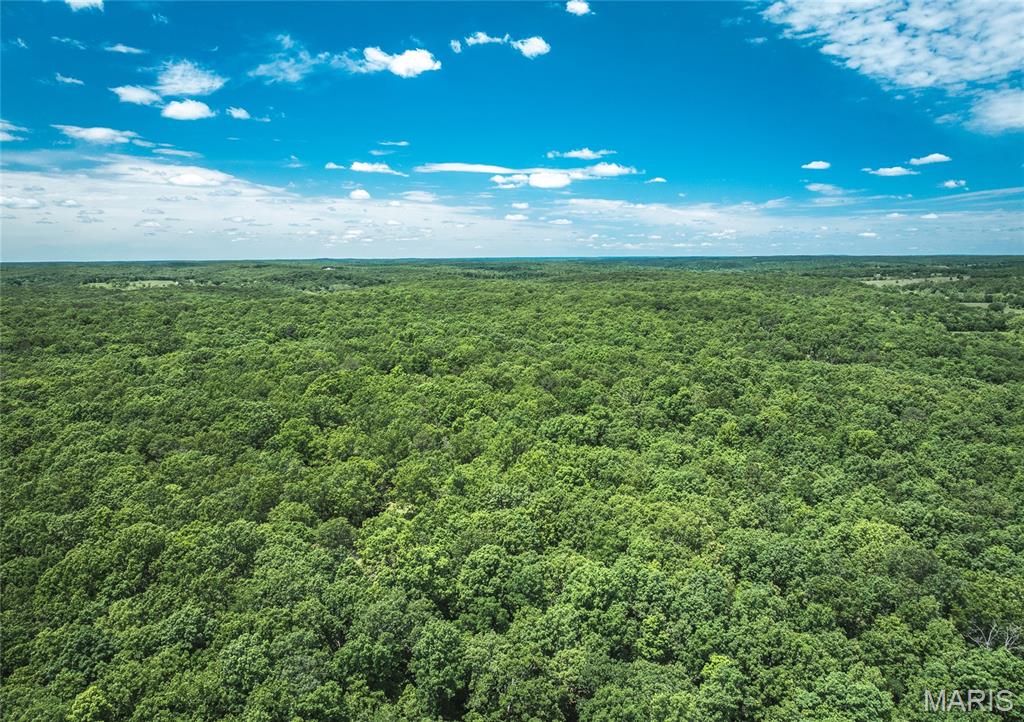 64 New Home Road Salem, MO 65560 - Photo 50 of 86