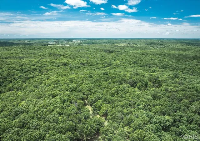 $1,095,000 | 64 New Home Road, Salem, MO 65560