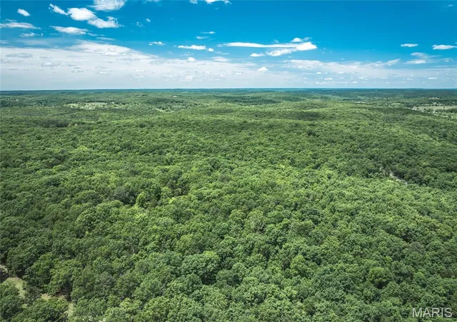 $1,095,000 | 64 New Home Road, Salem, MO 65560