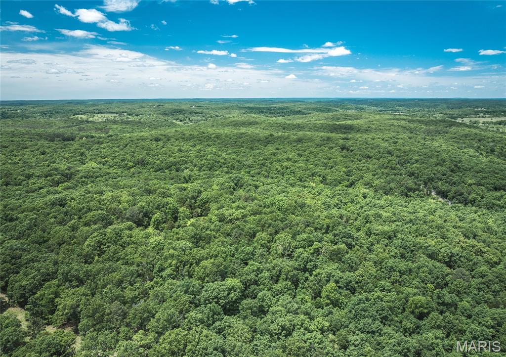 64 New Home Road Salem, MO 65560 - Photo 55 of 86