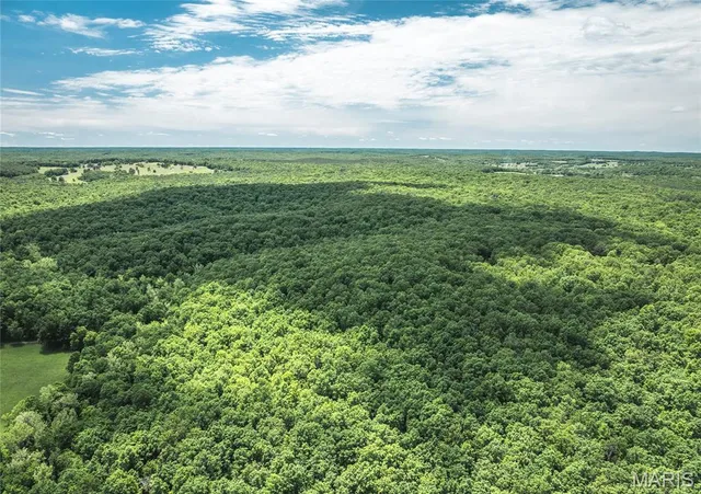 $1,095,000 | 64 New Home Road, Salem, MO 65560