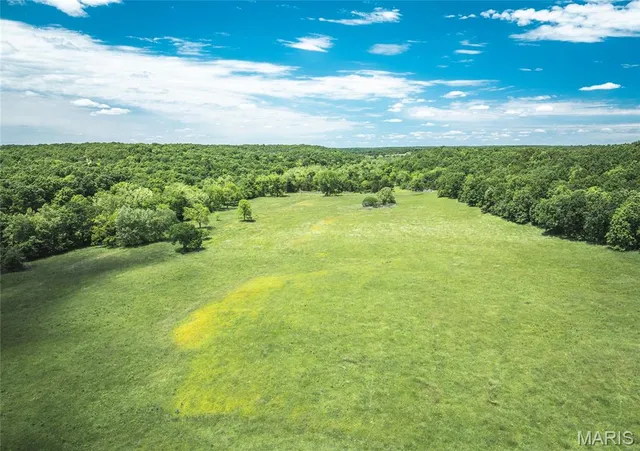 $1,095,000 | 64 New Home Road, Salem, MO 65560