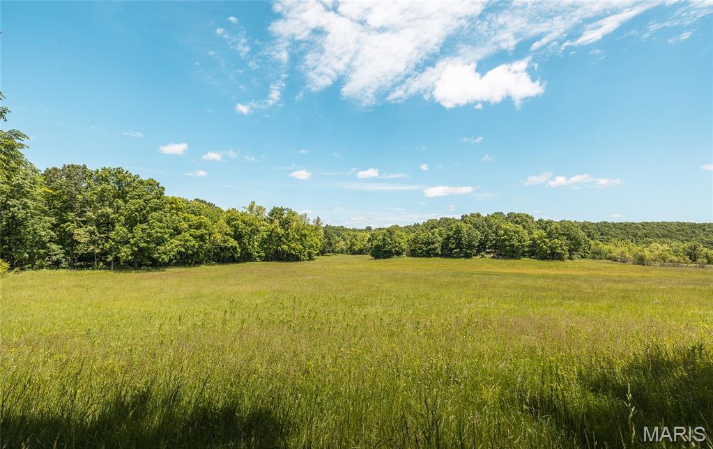 64 New Home Road Salem, MO 65560 - Photo 66 of 86