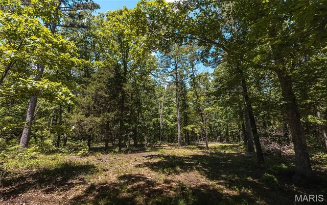 $1,095,000 | 64 New Home Road, Salem, MO 65560