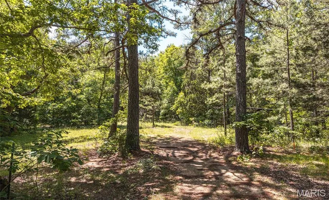 $1,095,000 | 64 New Home Road, Salem, MO 65560