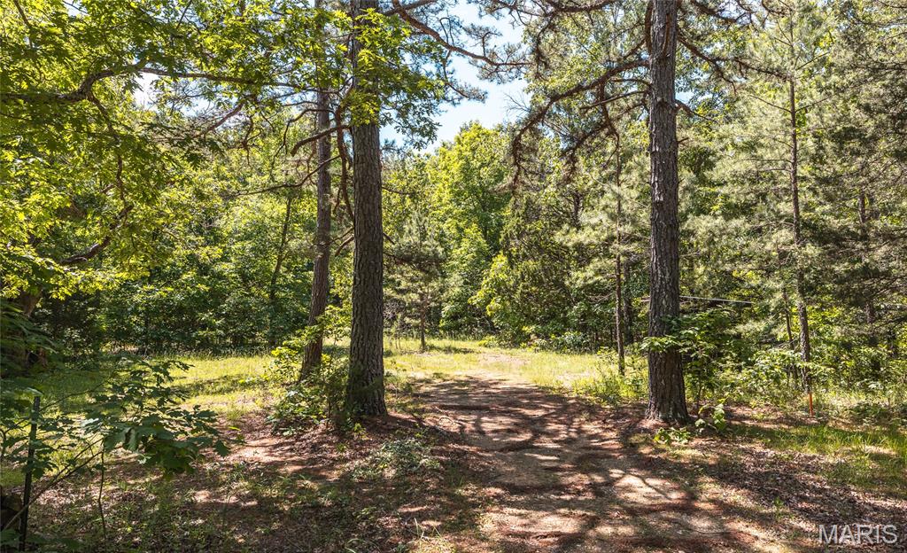 64 New Home Road Salem, MO 65560 - Photo 69 of 86