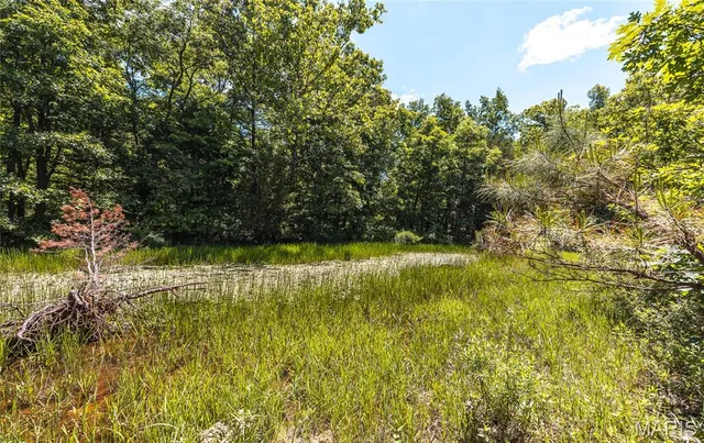 $1,095,000 | 64 New Home Road, Salem, MO 65560