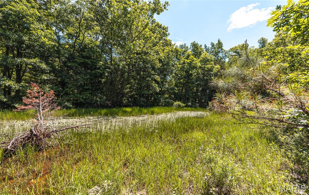 64 New Home Road Salem, MO 65560 - Photo 71 of 86