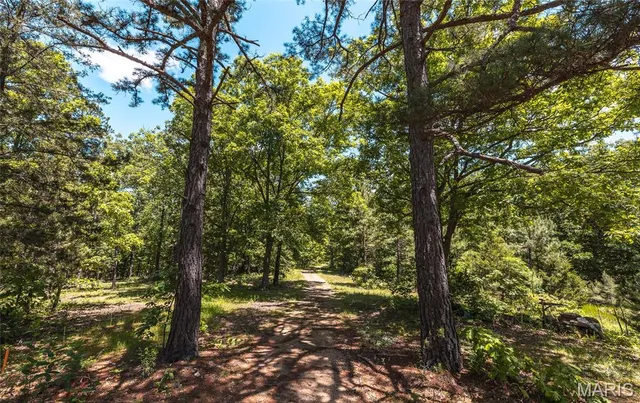 $1,095,000 | 64 New Home Road, Salem, MO 65560