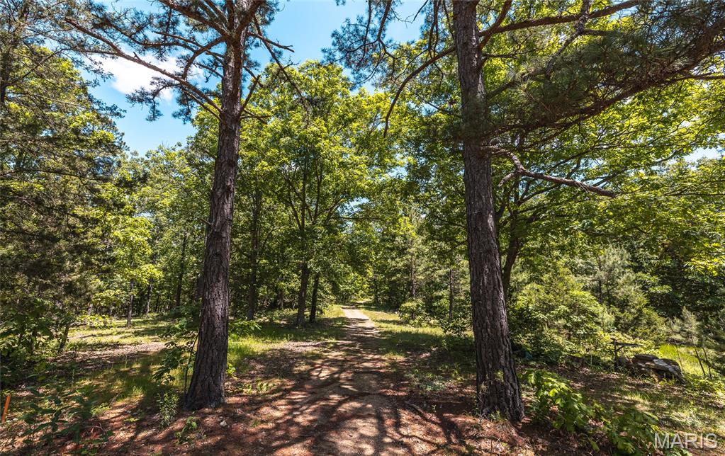 64 New Home Road Salem, MO 65560 - Photo 73 of 86