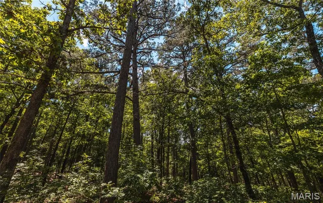 $1,095,000 | 64 New Home Road, Salem, MO 65560