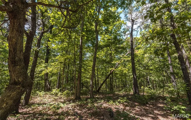 $1,095,000 | 64 New Home Road, Salem, MO 65560