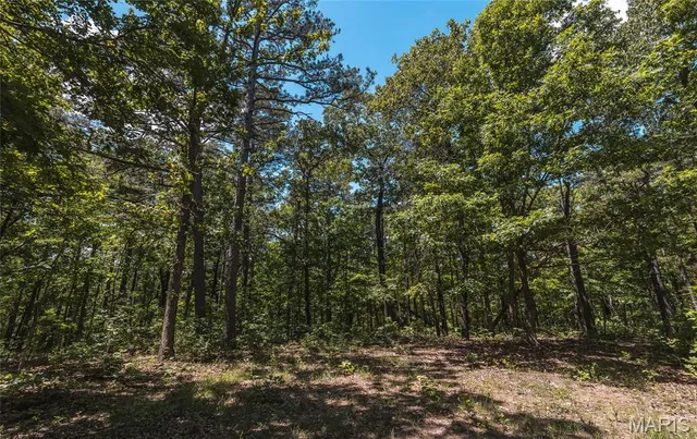 $1,095,000 | 64 New Home Road, Salem, MO 65560