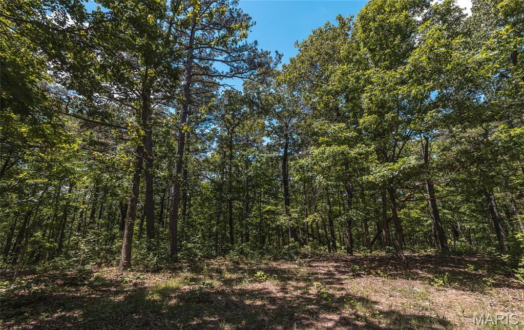 64 New Home Road Salem, MO 65560 - Photo 76 of 86