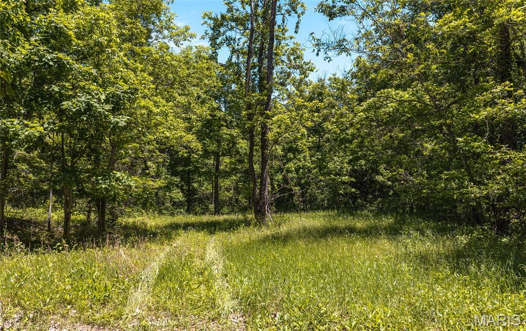 64 New Home Road Salem, MO 65560 - Photo 77 of 86
