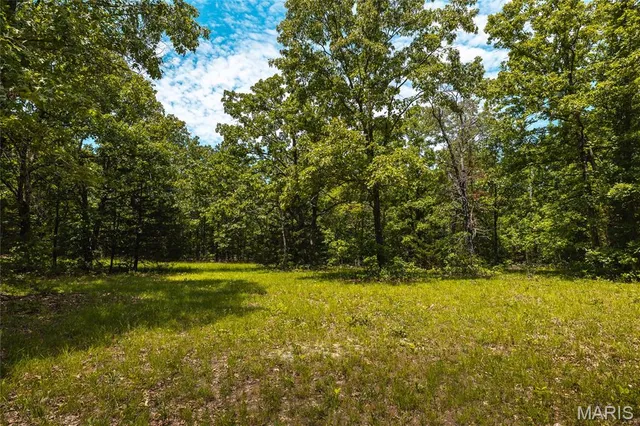 $1,095,000 | 64 New Home Road, Salem, MO 65560