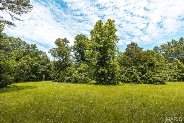 $1,095,000 | 64 New Home Road, Salem, MO 65560