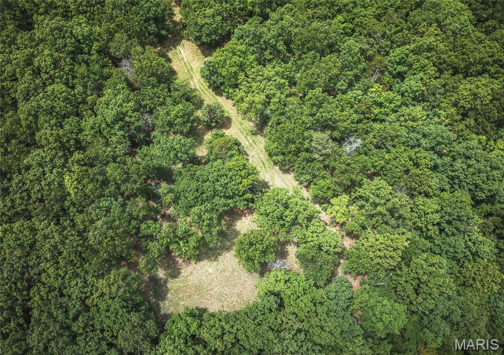 64 New Home Road Salem, MO 65560 - Photo 8 of 86