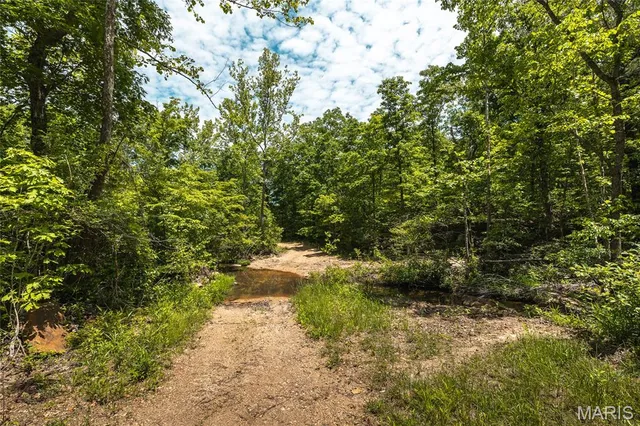 $1,095,000 | 64 New Home Road, Salem, MO 65560